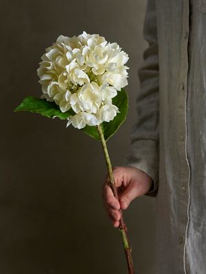 Stjälk Vit Konstgjorda blommor Hydrangea | Bloomingville
