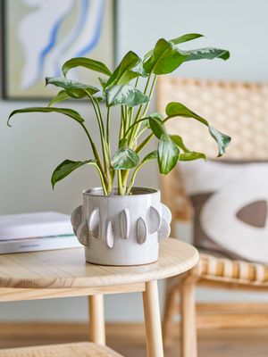 Kruka Vit Stengods Roza | Bloomingville