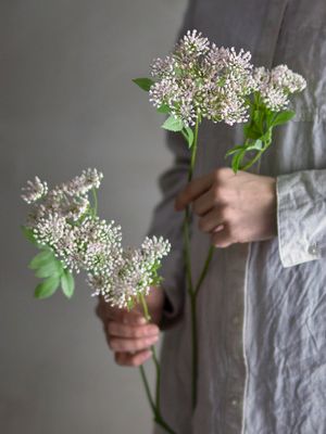 Stjälk Rosa Konstgjorda blommor Fennel | Bloomingville