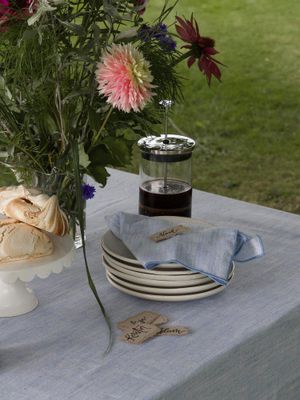 Svanefors Sabina Servett Denim 45x45 cm