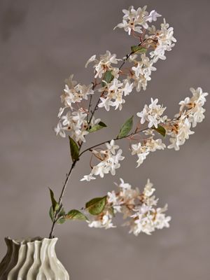 Gren Vit Konstgjorda blommor Myrtle | Bloomingville