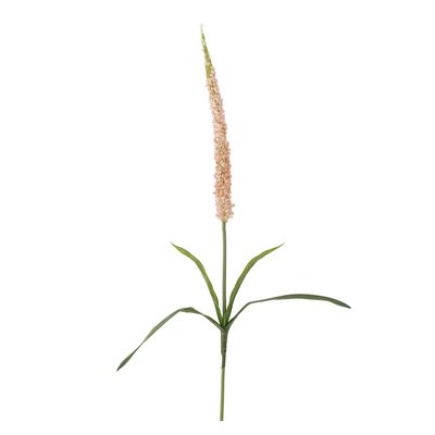 Stjälk Rosa Konstgjorda blommor Foxtail | Bloomingville