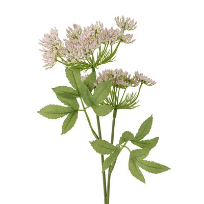 Stjälk Rosa Konstgjorda blommor Fennel | Bloomingville