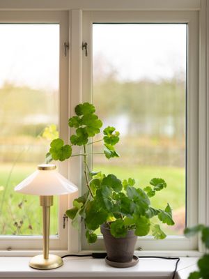 August Bordslampa Opal 34cm | PR Home