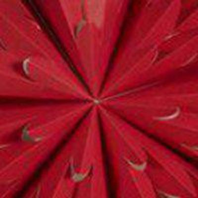 PR Home Hyacint star Röd 50cm