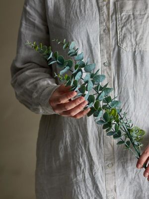 Stjälk Grön Konstgjorda blommor Eucalyptus | Bloomingville