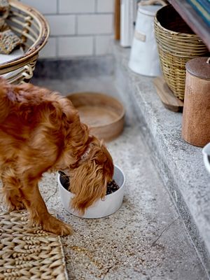 Burk med lock Brun Stengods Buddy | Bloomingville