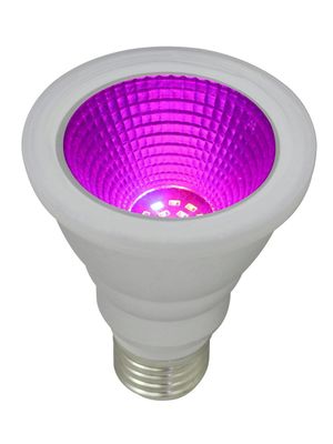 PR Home Grow LED IP65 E27 30° E27 PAR20 6W