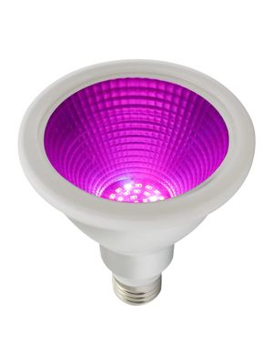 PR Home Grow LED IP65 E27 30° E27 PAR30 12W