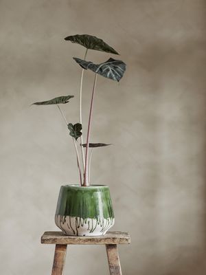 Moez Blomkruka Grön Stengods Ø22.5cm Bloomingville