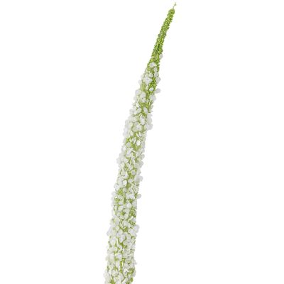 Stjälk Vit Konstgjorda blommor Foxtail | Bloomingville