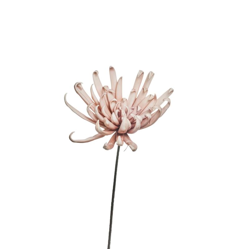 Dekoration Happia Rosa/Benvit Skum Lene Bjerre