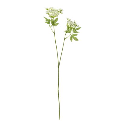 Stjälk Vit Konstgjorda blommor Fennel | Bloomingville