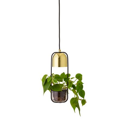 Taklampa Guld Metall Gullak | Bloomingville