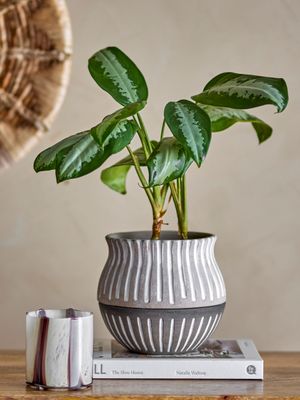 Kruka med fat Grå Terrakotta Neliya | Bloomingville