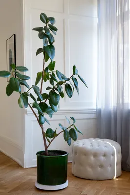 Bergs Potter Modena GLAZED Kruka Ø40 cm, Smaragdgrön (Utan Hål)