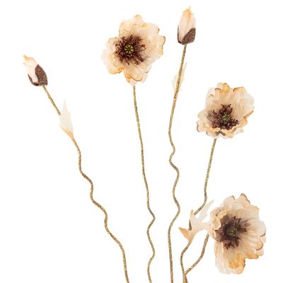 Stjälk Natur Konstgjorda blommor Poppy | Bloomingville