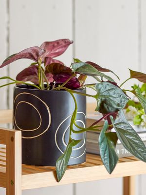 Kruka Svart Stengods Troy | Bloomingville