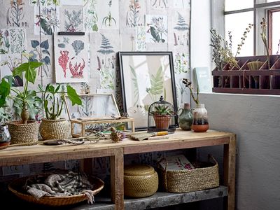Klämma Svart Granträ | Bloomingville Creative