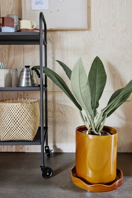 Blomkruka Vit Stengods OYOY LIVING