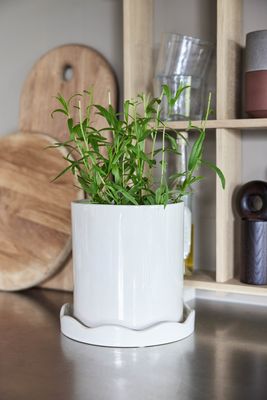 Blomkruka Vit Stengods OYOY LIVING