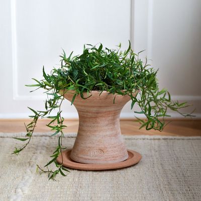 Bergs Potter Celeste RAW Kruka Med Fat Rosa, H 34 cm