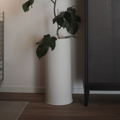 DBKD Astillbe Floor Vit