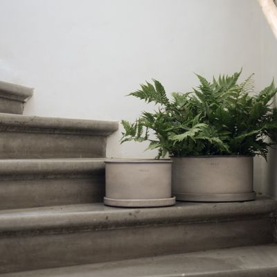 DBKD Plant Bowl 2-set Beige