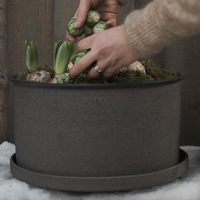 DBKD Plant Bowl 2-set Brun