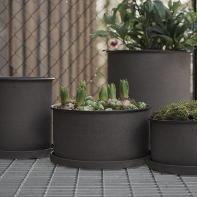DBKD Plant Bowl 2-set Brun