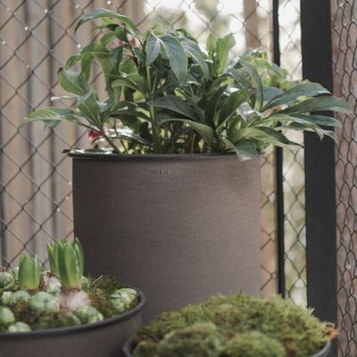 DBKD Plant Pot large 2-set Brun