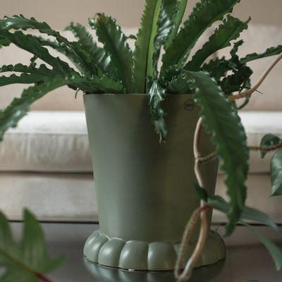 DBKD Flora Pot large Grön