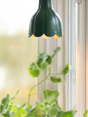 Tulippa Tak/Fönster Grön 17cm | PR Home