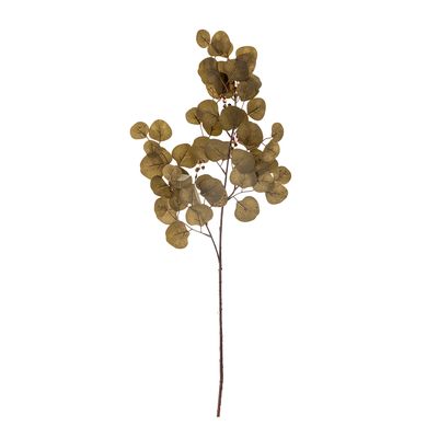 Stjälk Brun Konstgjorda blommor Eucalyptus | Bloomingville