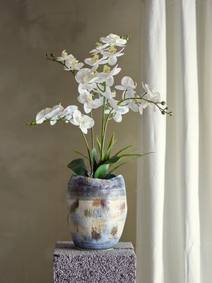 Växt Grön Konstgjorda blommor Orchid | Bloomingville