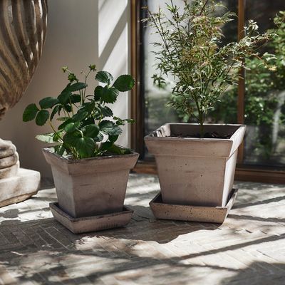Bergs Potter Gaia RAW Kruka Med Fat Grå, Ø 30 cm