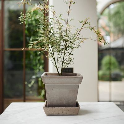 Bergs Potter Gaia RAW Kruka Med Fat Grå, Ø 30 cm