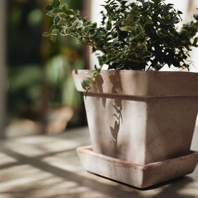 Bergs Potter Gaia RAW Kruka Med Fat Rosa, Ø 30 cm