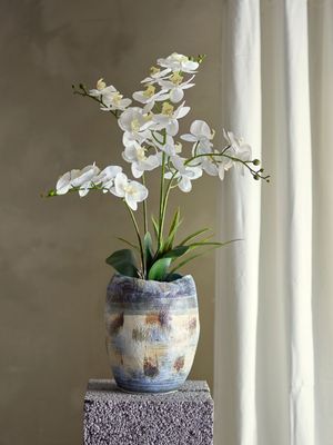 Bloomingville Orchid Växt Grön Konstgjorda blommor