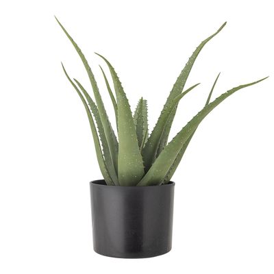 Växt Grön Konstgjorda blommor Aloe | Bloomingville