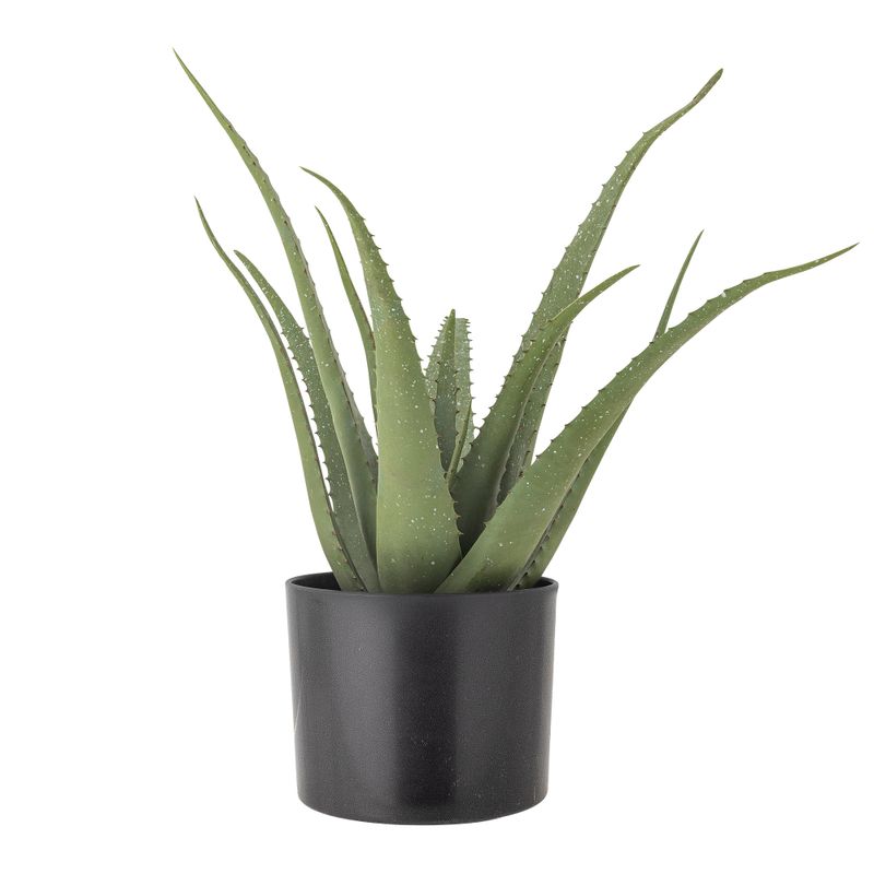 Växt Grön Konstgjorda blommor Aloe | Bloomingville