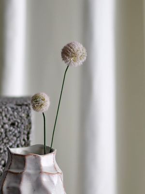 Stjälk Natur Konstgjorda blommor Phlox | Bloomingville