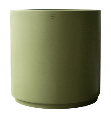 DBKD Solid xl Grön