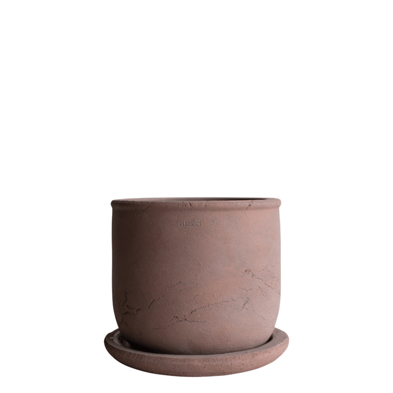 DBKD Terra 18 Brun