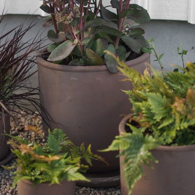 DBKD Terra Pot large Brun