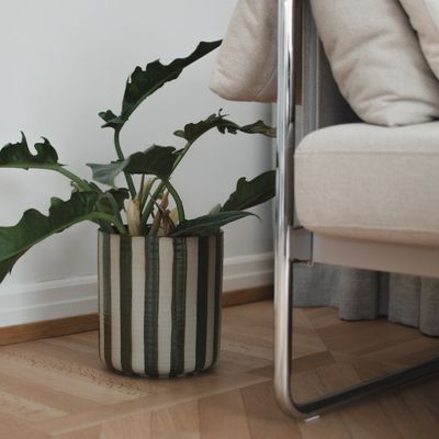 DBKD Line Pot large Randig grön