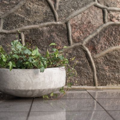 DBKD Garden Bowl