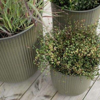 DBKD Out Stripe Pot 3-set Grön