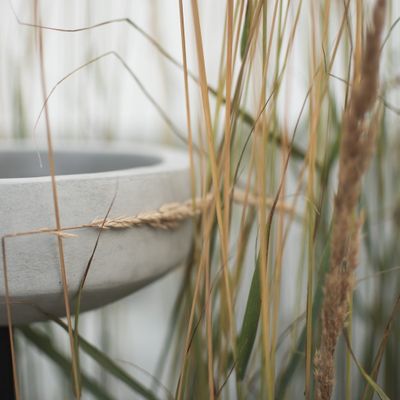 DBKD Garden Stick Bowl