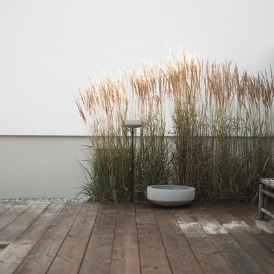 DBKD Garden Bowl